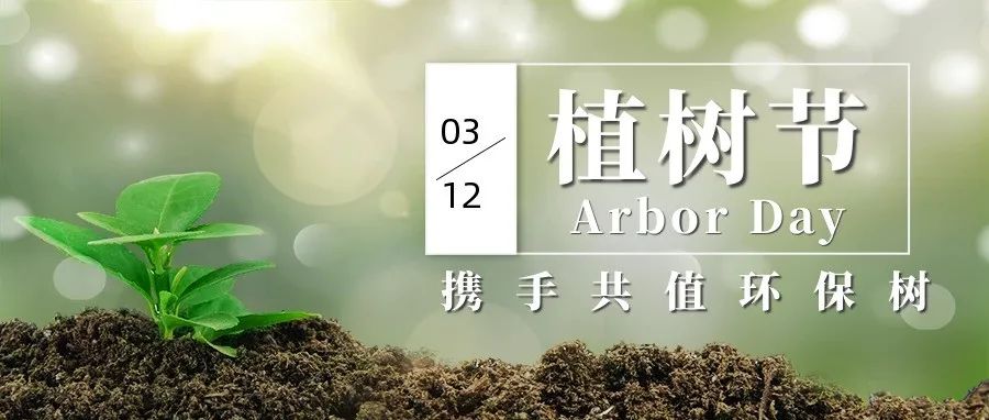3.12植樹(shù)節(jié) | 種下希望 收獲美好